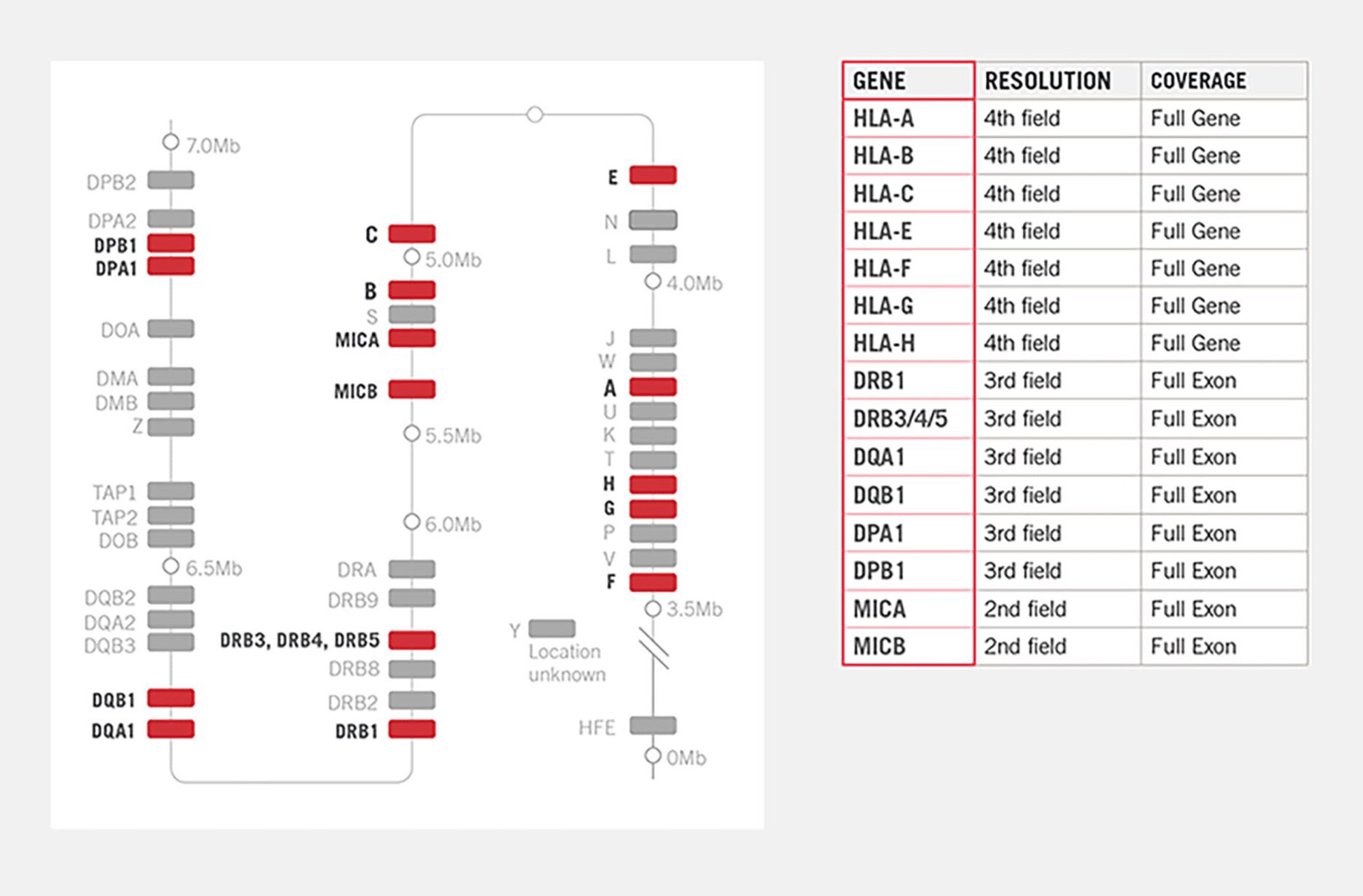 alloseq_tx17_chart