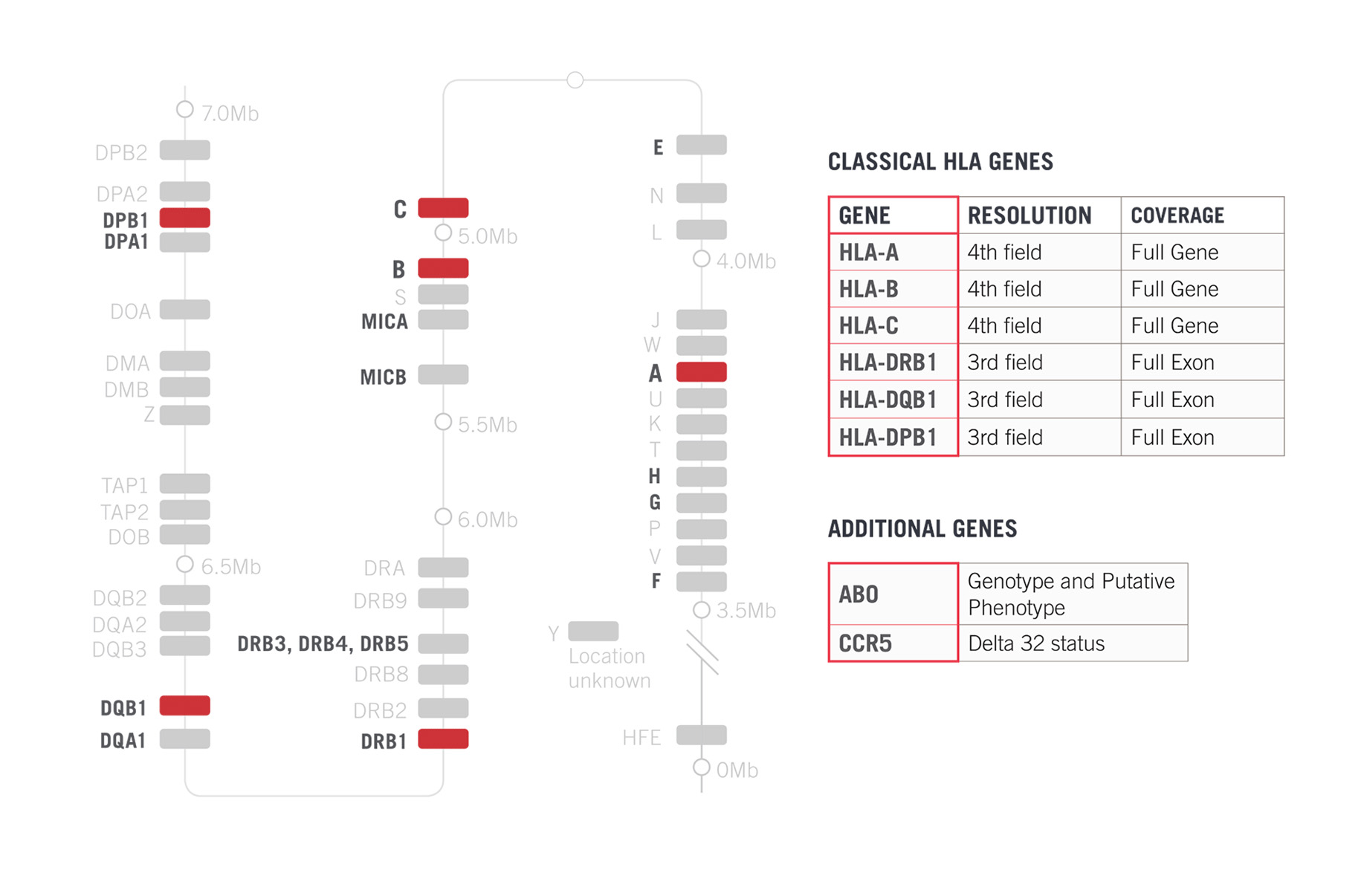 alloseq_tx8_chart